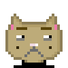 Cat #980