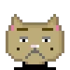 Cat #237