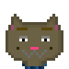 Cat #872