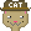Cat #269