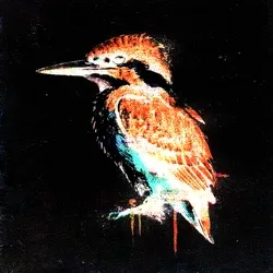 Control Kingfisher