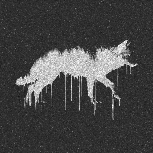 The Noise Project