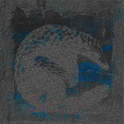 Root Pangolin