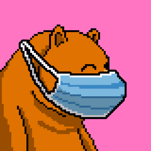 Bearxlabs