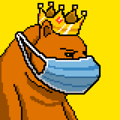 Bearxlabs