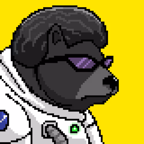 Bearxlabs