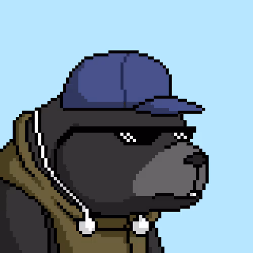Bearxlabs