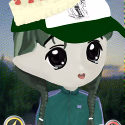 CHWO 1213