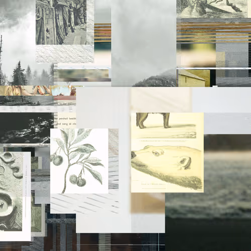 Unconscious Collages