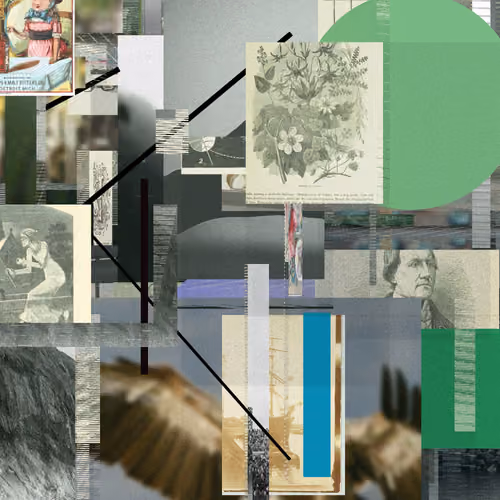Unconscious Collages #1386
