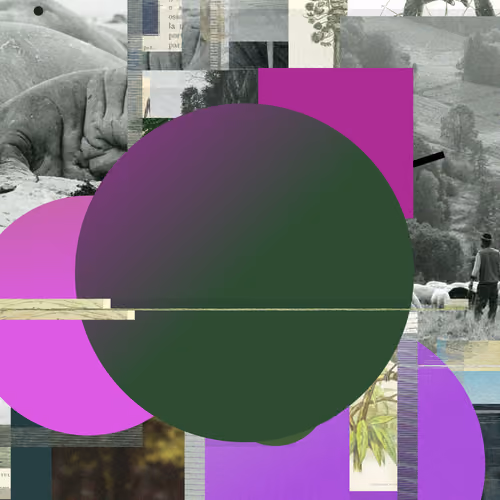 Unconscious Collages #1081