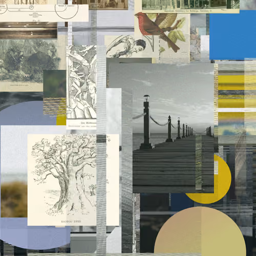Unconscious Collages #1502