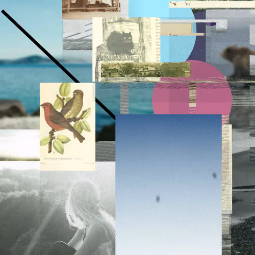 Unconscious Collages #476