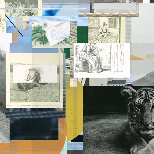 Unconscious Collages