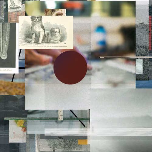 Unconscious Collages #1546