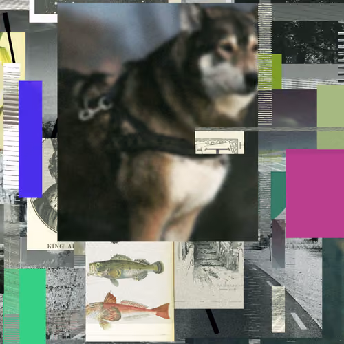 Unconscious Collages #554