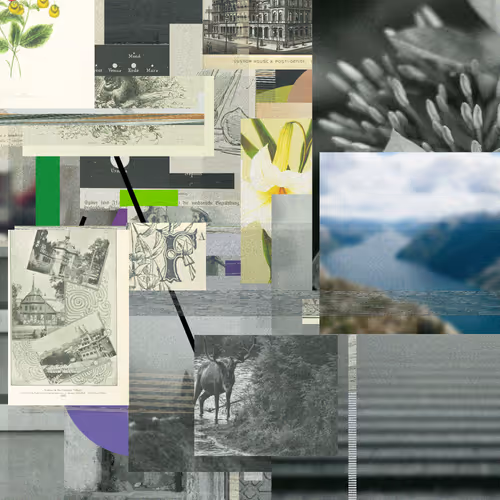 Unconscious Collages #351