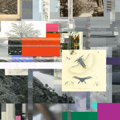 Unconscious Collages #1613