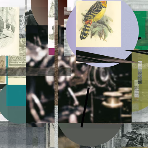 Unconscious Collages #1017