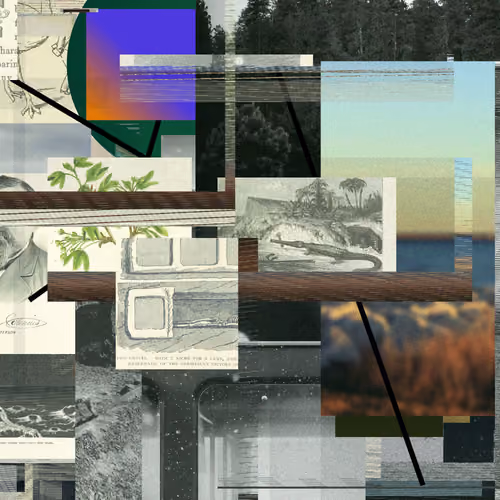 Unconscious Collages #321