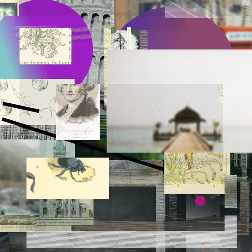 Unconscious Collages #419
