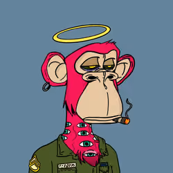 IRL APES #684