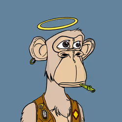 IRL APES #1251