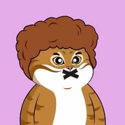 537