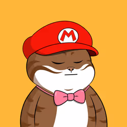3123