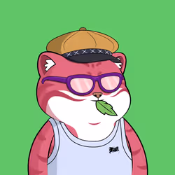 503