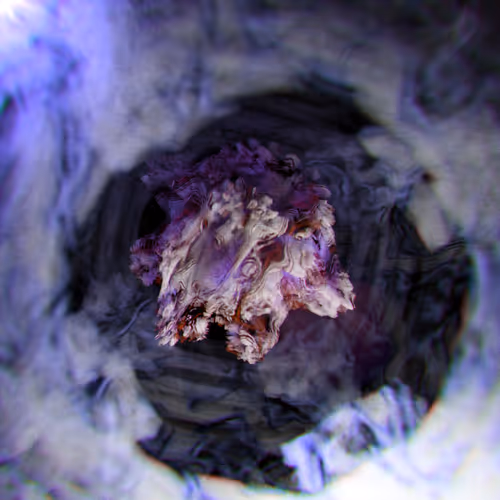 ✦ ARCHETYPE BIRTHPLACE ✦