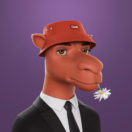 3dcamels
