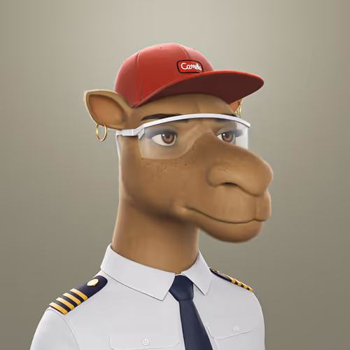 3dcamels