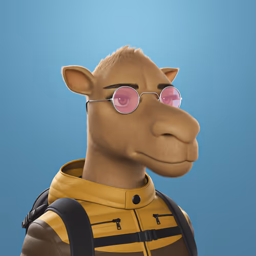 3dcamels