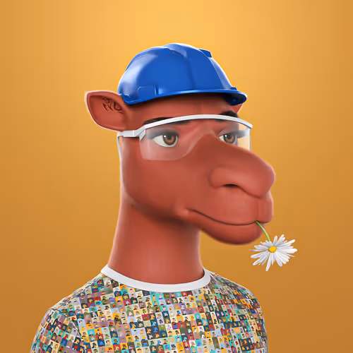 3dcamels