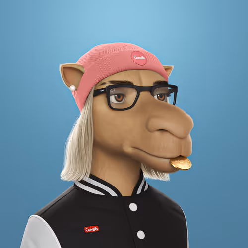3dcamels