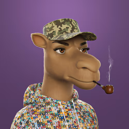 3dcamels