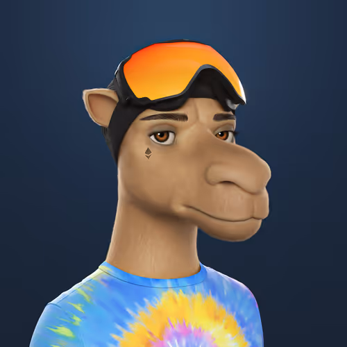 3dcamels