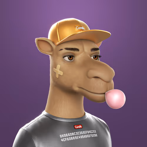 3dcamels