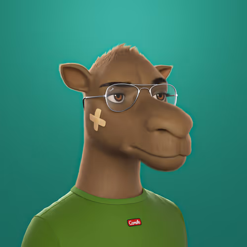 3dcamels