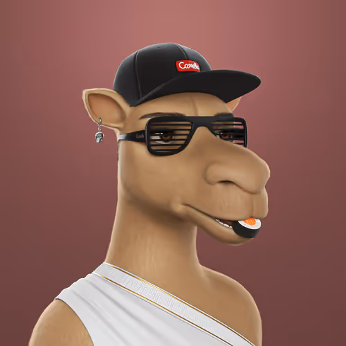 3dcamels
