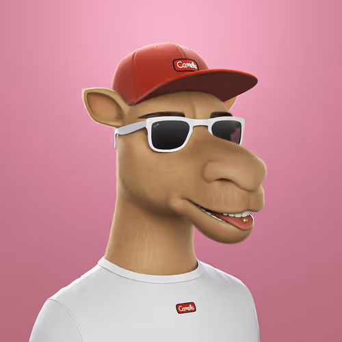 Camel 3D #2558