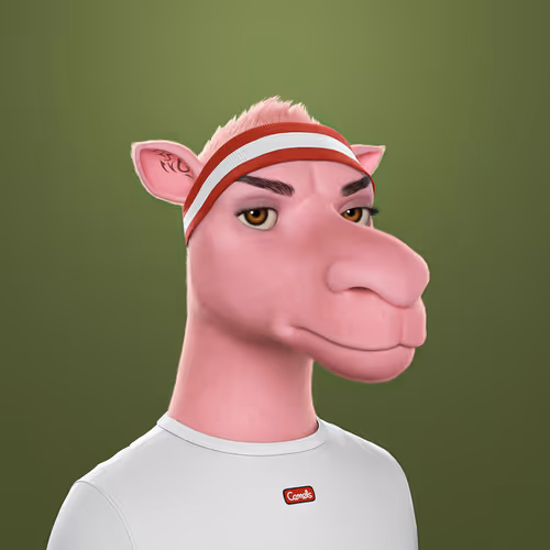 3dcamels