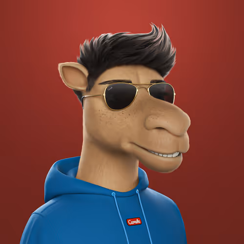 3dcamels