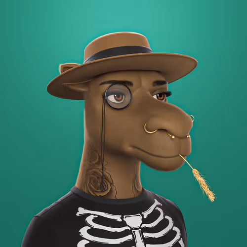 3dcamels