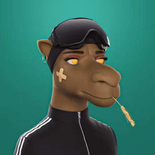 3dcamels