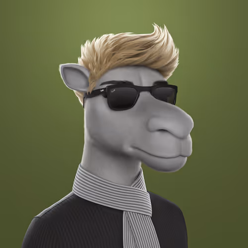 3dcamels