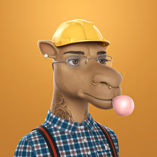 3dcamels