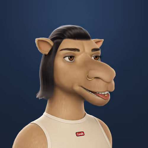 3dcamels