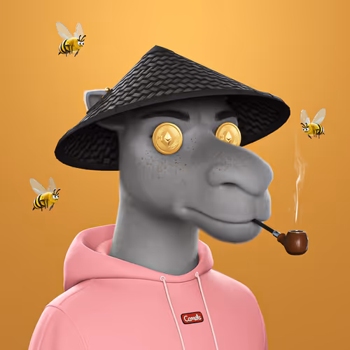 3dcamels